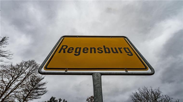 Regensburg ist Spitzenreiter bei Single-Haushalten Schon in vergangenen Jahren gab es in Regensburg die meisten Einpersonen-Haushalte. (Symbolbild)