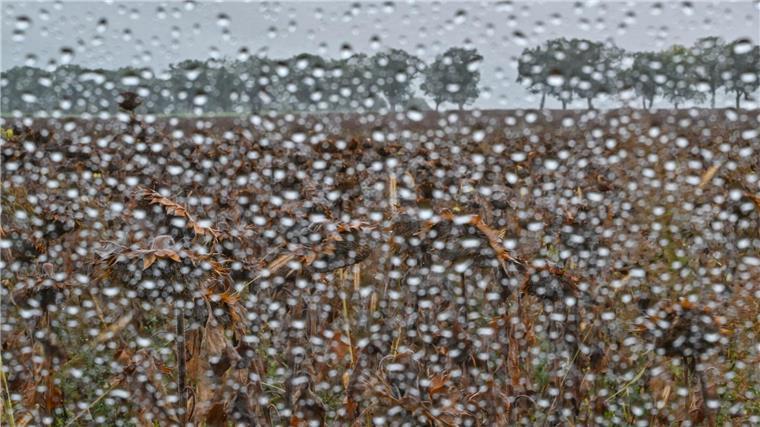 Gartenbesitzer und Landwirte in Sorge – Wann regnet es? Schon seit Wochen hat es in Niedersachsen nicht mehr richtig geregnet – das Wasser fehlt im Boden. (Archivbild)
