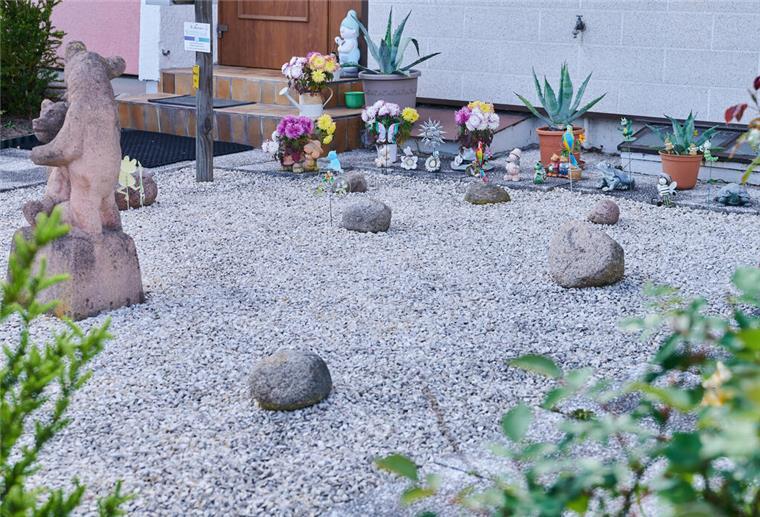 Veranstaltung in Geestland: So wird die Steinwüste ein grüner Garten Symbolbild Schottergarten