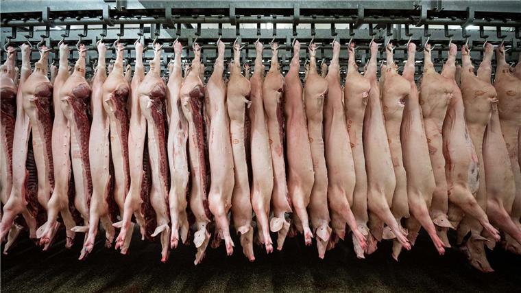 Schweinefleisch aus Niedersachsen könnte indirekt unter Sanktionen aus China leiden. (Symbolbild)