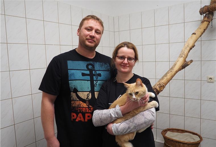 Zwei Tierheim-Leiter mit einer Katze