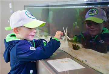 Seesterne (fast) zum Anfassen: Fiete (3) aus Warstein ist begeistert vom Nordseeaquarium im Nationalpark-Haus Wurster Nordseeküste in Dorum-Neufeld.