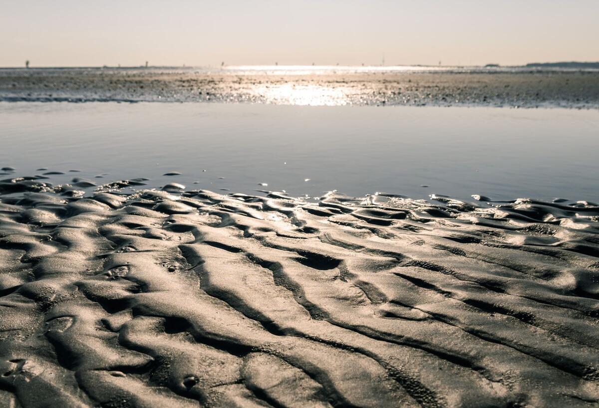 Klimawandel bedroht das Wattenmeer – Forscher schlagen Alarm Ein Blick auf einen Priel im Wattenmeer zwischen Cuxhaven und der Insel Neuwerk.