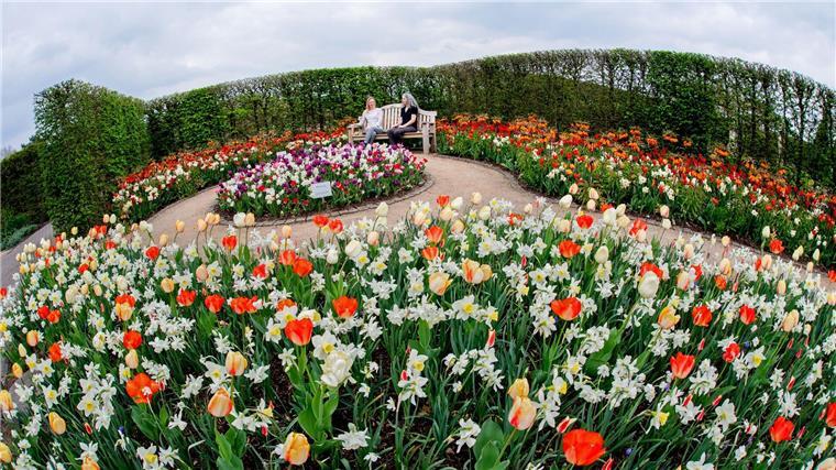 Buntes Blumenmeer im Ammerland - Park der Gärten blüht auf Seit dem Jahr 2003 ist die Anlage jährlich für Besucher geöffnet.