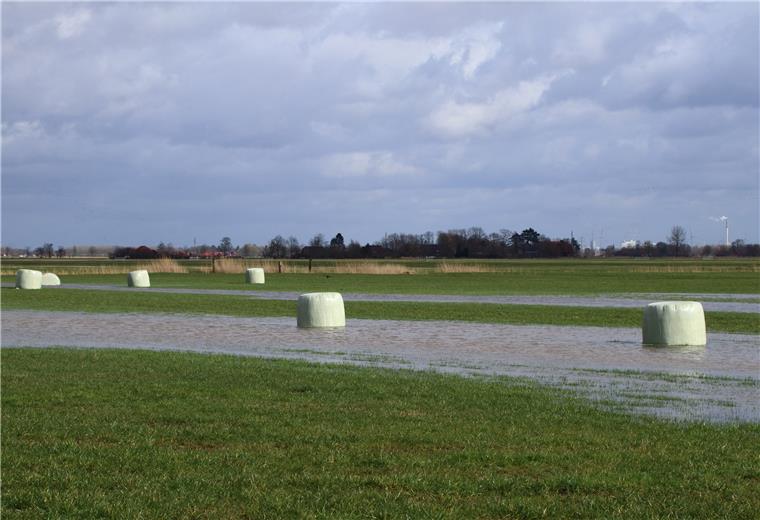 Seit vier Wochen regnet es fast jeden Tag. Das Wasser staut sich auf manchen Wiesen und Weiden.