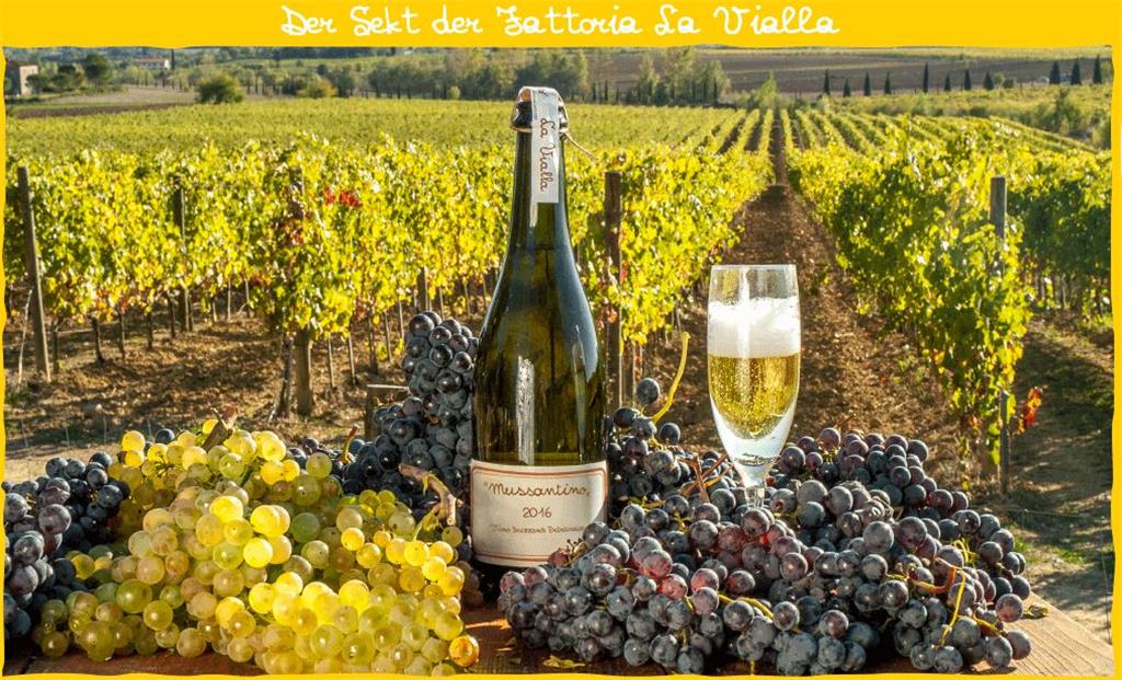 Sekt.