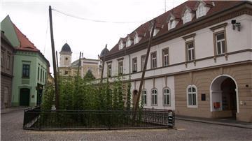 Selbst mitten in Zatec wächst ein kleines Hopfenfeld (Archivbild).