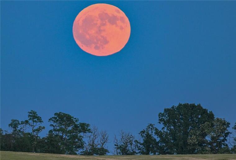 Erdbeermond 2025: Dieses Himmelsspektakel kommt erst 2043 wieder ARCHIV - 03.06.2023, Brandenburg, Lebus: Der Vollmond leuchtet am späten Abend rötlich über der Landschaft. (zu dpa: «Erdbeermond am Nachthimmel über Deutschland») Foto: Patrick Pleul/dpa +++ dpa-Bildfunk +++