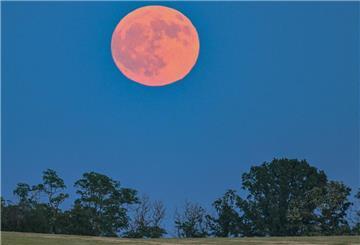 ARCHIV - 03.06.2023, Brandenburg, Lebus: Der Vollmond leuchtet am späten Abend rötlich über der Landschaft. (zu dpa: «Erdbeermond am Nachthimmel über Deutschland») Foto: Patrick Pleul/dpa +++ dpa-Bildfunk +++