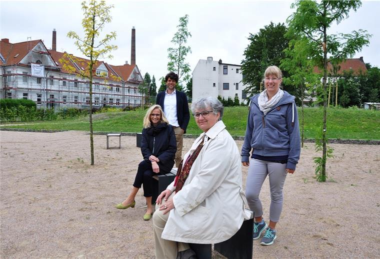In Einswarden tut sich was: Neuer Park und sanierte Häuser Sie freuen sich über die Fortschritte in Einswarden (von vorne): Claudia Schwehm vom Sanierungsträger DSK, Rebecca Willuhn und Ellen Köncke von der Stadt Nordenham sowie Manuel Trinkgeld von Nordwohnen.