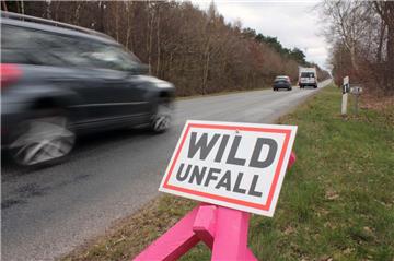 Sieben Stück Rehwild kamen in den letzten drei Monaten auf diesem Stück der Landesstraße 134 zwischen Uthlede und Hagen durch Autos ums Leben.