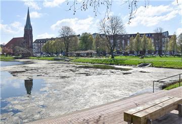 Holzhafen mit Algenteppich