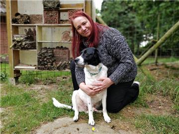 Silke Wingen muss sich in ihrem neuen Amt als Vorsitzende des Tierschutzvereins vielen Herausforderungen stellen. Dazu gehört nach wie vor auch die Vermittlung von Tieren. Der sechsjährige Jagdhund-Mischling „Gino“ etwa sucht ein Zuhause.