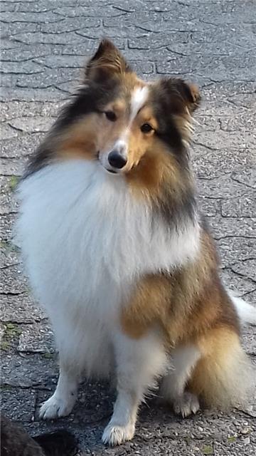 Silvia Hastedt mit Mailo