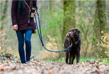 So ist‘s richtig: Während der Brut- und Setzzeit gehören Hunde an die Leine.