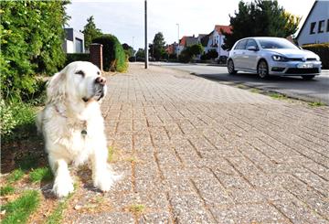So kennt man Emily. Sie liegt am Mittelweg in Nordenham und beobachtet das Geschehen. Und das von morgens bis abends.