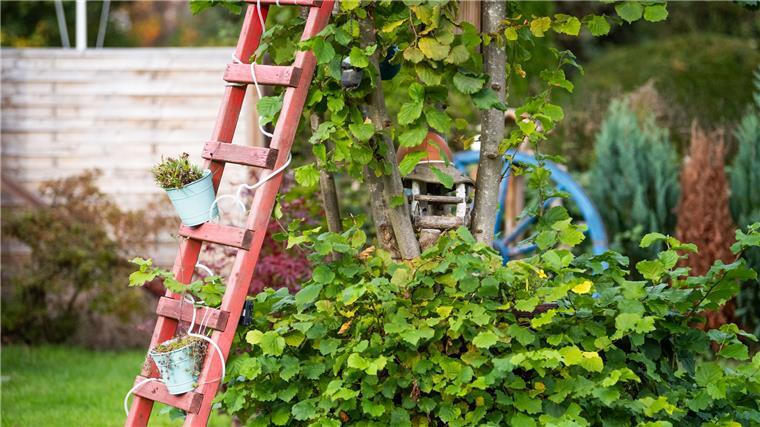 So mancher Kleingärtner legt Wert auf eine besondere Gartendekoration.