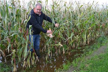 So schlimm sieht es zum Teil auf den Maisäckern im Cuxland aus: Dirk Tramsen, Bauer aus Spieka-Neufeld, steht knöcheltief im Wasser.