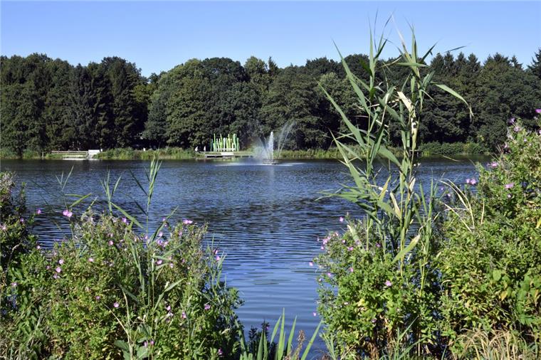 Bremerhaven: Verstopfte Toiletten im Speckenbütteler Park So schön kann es im Speckenbütteler Park in Bremerhaven sein.