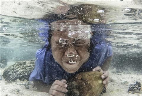 So spielt man in Samoa Wasserball: Ein Mädchen taucht auf der Insel Upolu mit einer Kokosnuss unter.