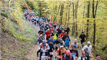 So viele Läuferinnen und Läufer wie seit acht Jahren nicht mehr hatten sich beim 47. Harz-Gebirgslauf angemeldet.