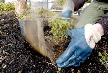 Ein angehender Gärtner gräbt mit einer Hacke ein Pflanzloch für eine Dachbegrünung, aufgenommen am Donnerstag (04.03.2004) in einem Gartenbaubetrieb in Weinstadt. 