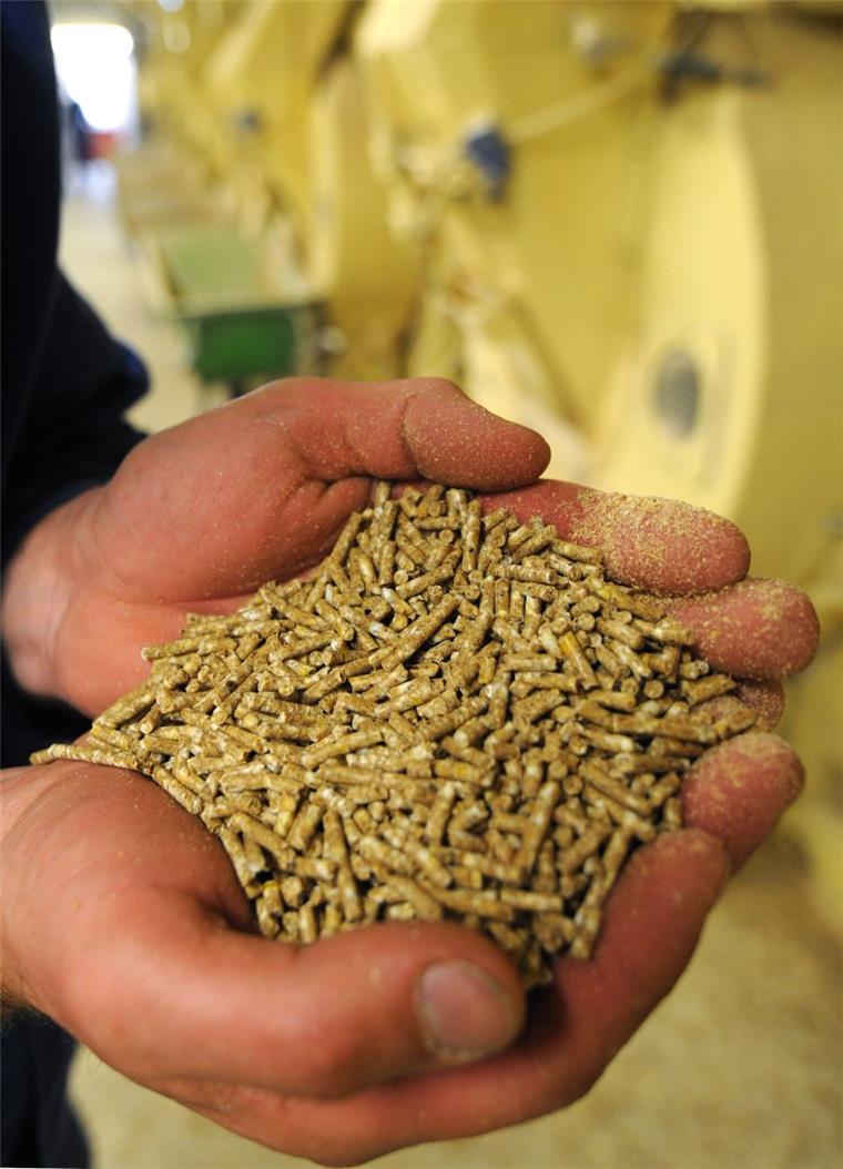 Soja-Schrot dient bei der Mischfutterherstellung als Protein-Lieferant. 