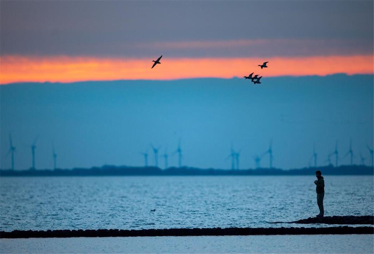 Ein Mann beobachtet Zugvögel, die über das Wattenmeer der Nordseebucht Jadebusen fliegen.