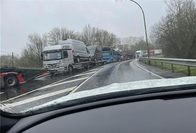 Staus im Hafen: Weil die Fahrzeugtransporter nicht auf den Autoterminal gelangen, verstopfen sie die Straße. Etliche Hafenbetriebe sind deshalb verärgert. Foto: Privat