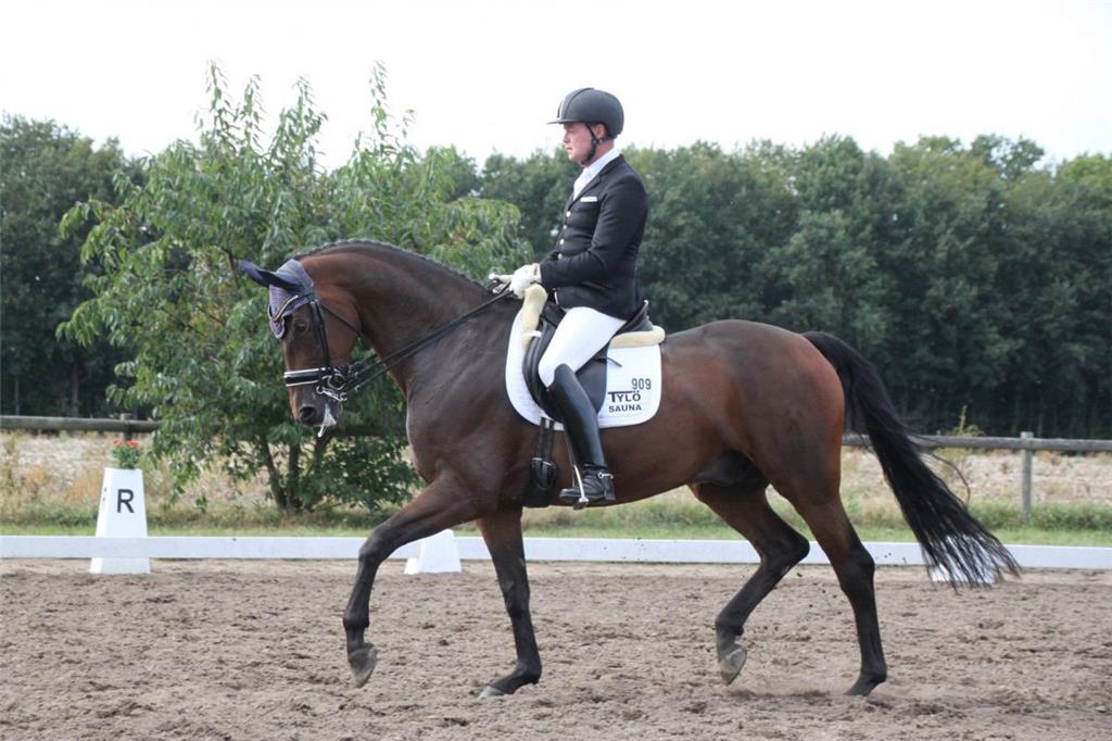 Stefan Blanken vom Reitverein Tarmstedt mit „Secrets Sunshine“ in der M*-Dressur...