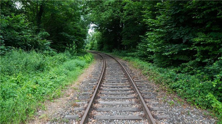 Stillgelegte Bahnstrecken sollten wieder genutzt werden - auch für den Tourismus in Niedersachsens Urlaubsregionen, sagt Holger Heymann, Vorsitzender des Tourismusverbandes. (Archivbild)