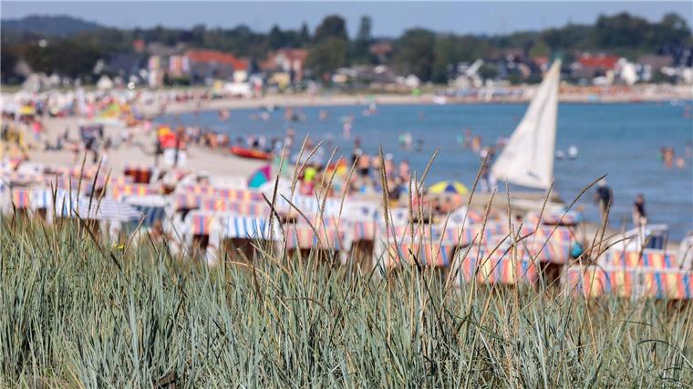 Sommerliche Temperaturen angekündigt: Einige Freibäder offen Strandkörbe stehen bei Sonnenschein und spätsommerlichen Temperaturen von rund 22 Grad Celsius am Strand.