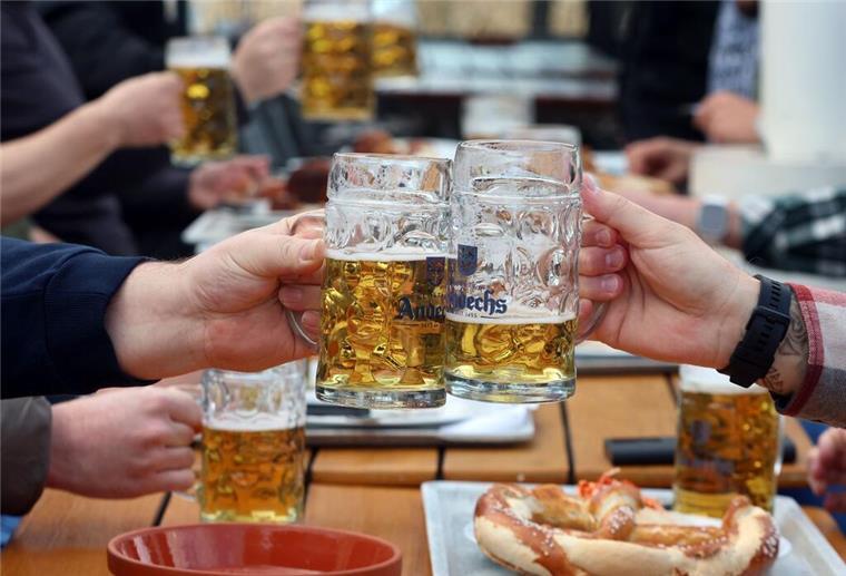Studie: Alkohol schädigt bei Frauen schneller das Gehirn Menschen stoßen mit Bierkrügen an.