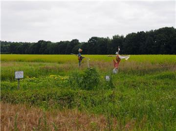 Stumme Gesellen am Wegesrand: Am Nordpfad "Riepholm-Gilkenheide" bei Visselhövede.