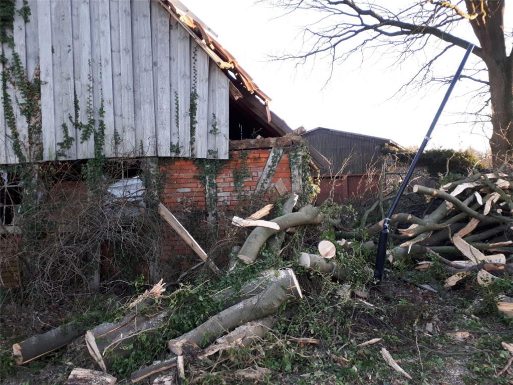 Sturm entwurzelt Baum: Eine alte Buche ist in Ahe in der Gemeinde Beverstedt in der Nacht zu Mittwoch in eine Scheune gestürzt.