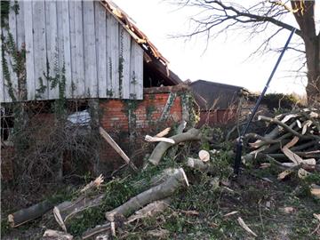 Sturm entwurzelt Baum: Eine alte Buche ist in Ahe in der Gemeinde Beverstedt in der Nacht zu Mittwoch in eine Scheune gestürzt.