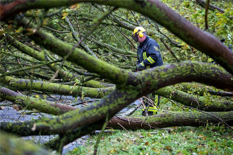 Sturm Xavier wütet in der Region: Frau von Ast lebensgefährlich verletzt Sturm Xavier hat in Norddeutschland erhebliche Schäden verursacht, wie hier in Wismar.
