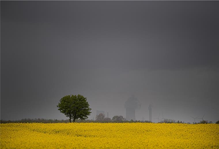 Sturm „Eugen“: Umgekippte Bäume und Orkanböen Sturmtief „Eugen“ hat viele dunkle Wolken mitgebracht.