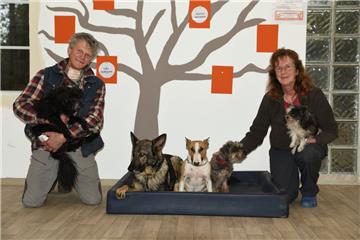 Susanne Böttcher und Holger Lindbüchl betreiben das „Lucky Dog Hostel“ in Wulsbüttel und kümmern sich um alte und kranke Hunde, die niemand mehr haben möchte.