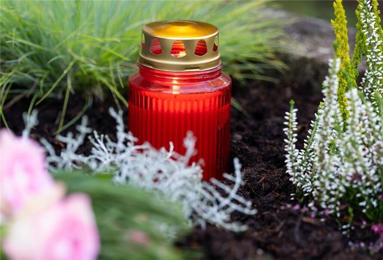 Ein rotes Grablicht steht zwischen ein paar Blumen auf einem Grab.