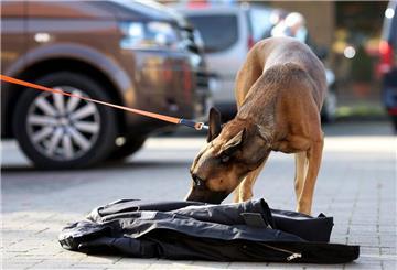 Ein angeleinter Hund schnuppert an einer Jacke.