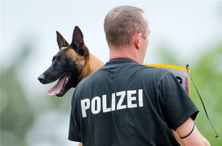 Symbolfoto: Auf Polizeihunde kann man sich verlassen.