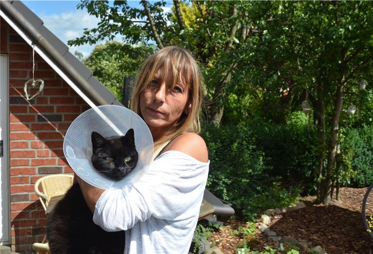 Tierquälerei? Heeslinger Kater fehlen plötzlich die Krallen Tanja Andernacht mit ihrem verletzten Kater. Das Tier bekommt nach wie vor Schmerzmittel und ein Antibiotikum.