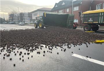 Tausende Kartoffeln bedeckten die Straße in Cloppenburg.