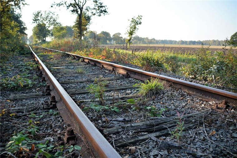 Technik und Co. sind bei der Museumsbahn in Bad Bederkesa in Ordnung. Allerdings muss am Gleisbett etwas getan werden. 
