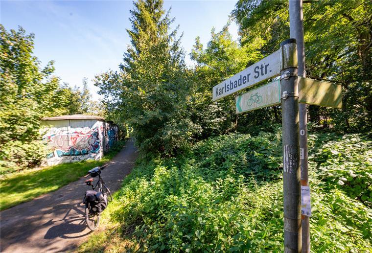 Trotz Protest: Im Bereich „Neue Aue“ wird gebaut Teile des sogenannten Leher Dschungels an der Karlsbader Straße sollen nun bebaut werden. Der Bau-Ausschuss gab grünes Licht.