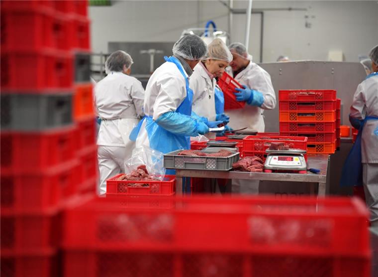 Nach PTC-Insolvenz in Bremerhaven: Nachfolger sind gestartet The Fish Experts heißt die Nachfolge-Firma der insolventen PTC. Momentan arbeiten dort 36 Mitarbeiter.