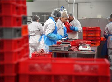 The Fish Experts heißt die Nachfolge-Firma der insolventen PTC. Momentan arbeiten dort 36 Mitarbeiter.