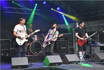 Das Foto zeigt die Gruppe The Palm Set bei ihrem Auftritt. 