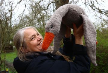 Theda Garnholz strickt Vögel. Angefangen hat sie mit einem Kiwi - der am Ende ein Brachvogel wurde. Die neueste Kreation ist eine beinahe lebensgroße Graugans namens Gerda.